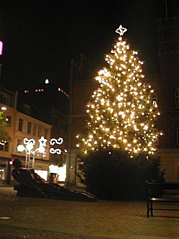 Juletræ på Flakhaven